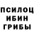 Галлюциногенные грибы Psilocybine cubensis DWTC DWTC