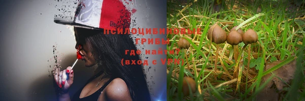 винт Бородино