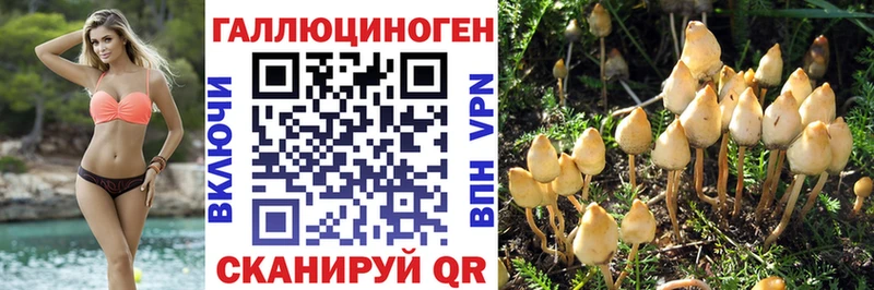 где найти kraken как зайти Псилоцибиновые грибы прущие грибы Люберцы
